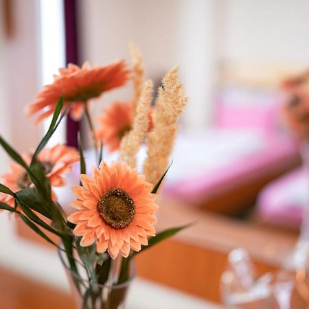 Hotel Holiday-M Οχρίδα Εξωτερικό φωτογραφία